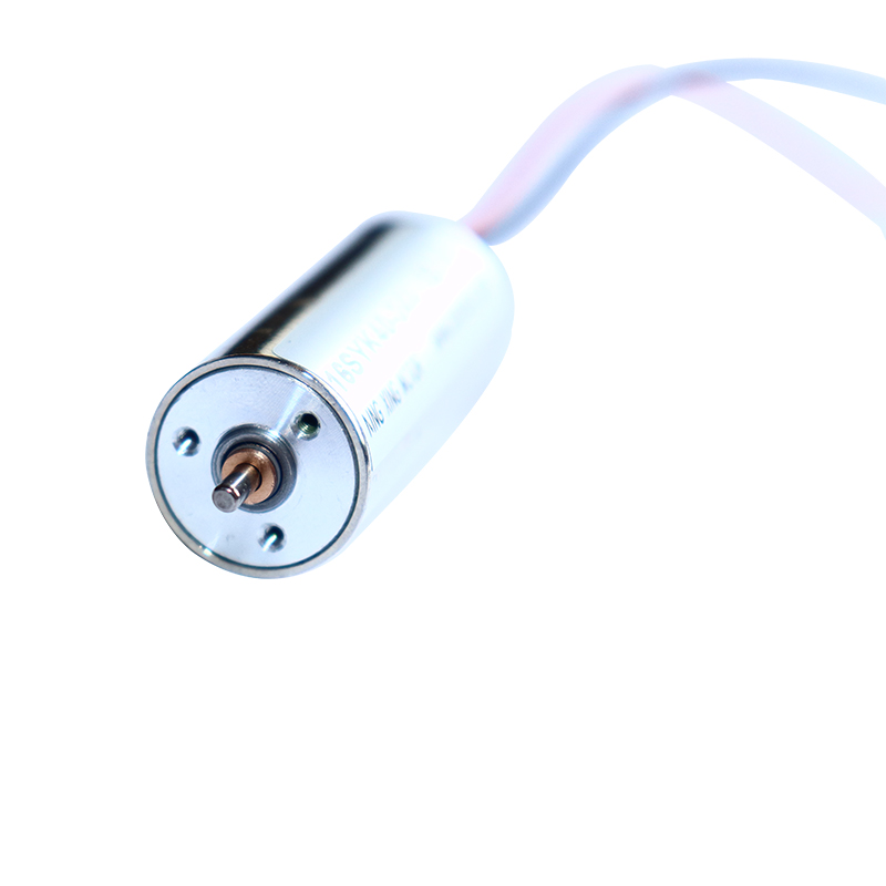 Zeintzuk dira karbonozko eskuila-motor mota desberdinak